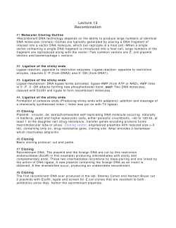 Lecture 13 Recombination