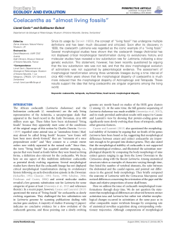 Coelacanths as "almost living fossils``