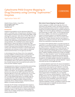 Cytochrome P450 Enzyme Mapping in Drug Discovery