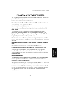 financial statements notes