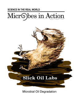 Slick Oil Lab