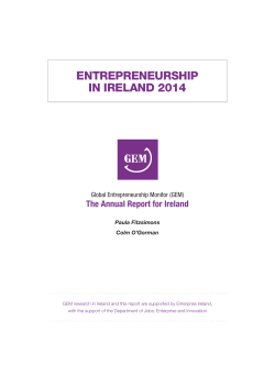 Global Entrepreneurship Monitor (GEM) &ndash; Report for Ireland 2014
