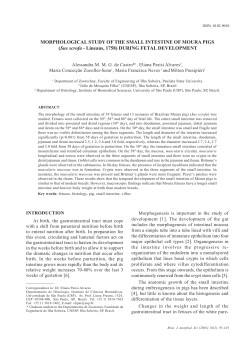 Complete Article - Journal of Morphological Science