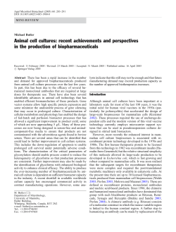 Animal cell cultures: recent achievements and perspectives in the