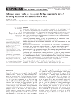 Follicular helper T cells are responsible for IgE responses to Der p 1