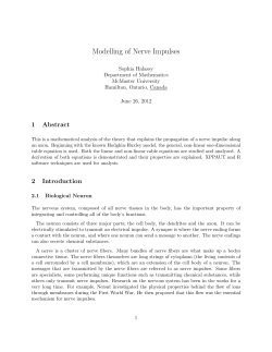 Modelling of Nerve Impulses