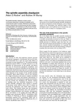 The spindle assembly checkpoint Adam D