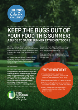 Summer eating guide - Food Standards Agency