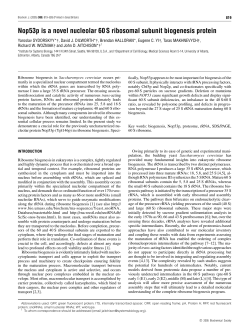 Nop53p is a novel nucleolar 60 S ribosomal subunit biogenesis