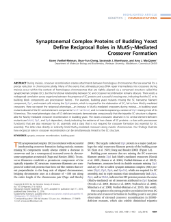 Synaptonemal Complex Proteins of Budding Yeast Define