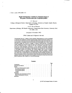Rapid chromosome evolution in Jamaican frogs of