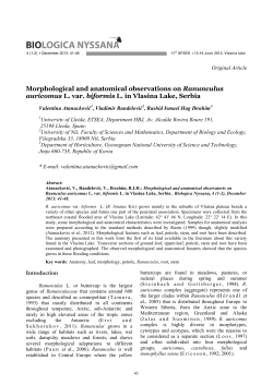 ANTICANCER COMPOUNDS FROM MEDICINAL PLANTS