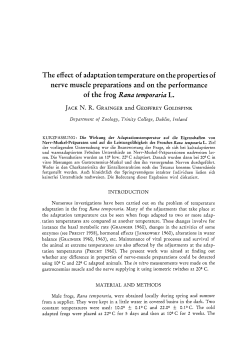 The effect of adaptation temperature on the properties of nerve