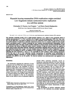Plasmids bearing mammalian DNA-replication origin