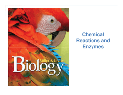 Chemical Reactions and Enzymes
