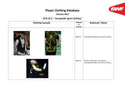 Player Clothing Database