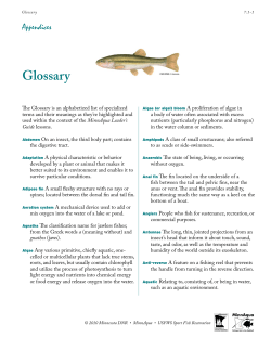 Glossary - Minnesota DNR