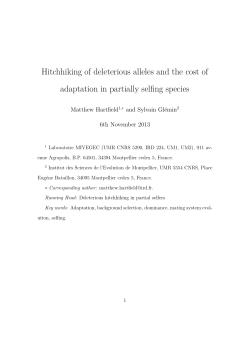 Hitchhiking of deleterious alleles and the cost of adaptation in
