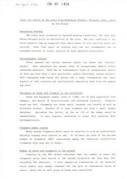 level iii report on the bones from misbourne viaduct, gerards cross
