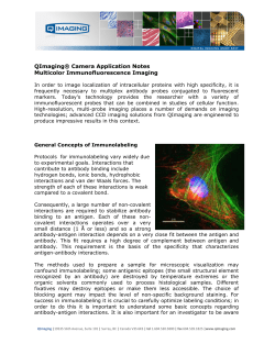 Multicolor Immunofluorescence Imaging ()