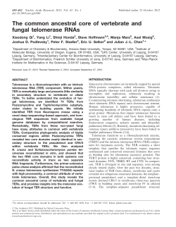The common ancestral core of vertebrate and
