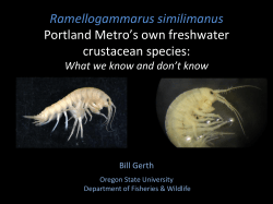 Portland Metro`s own Freshwater Crustacean Species