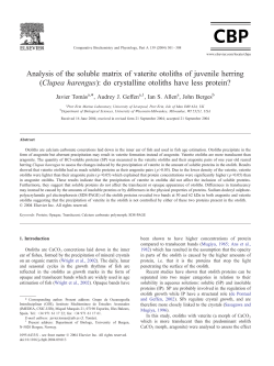 PDF Copy