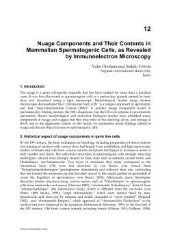 Nuage Components and Their Contents in