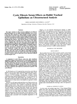 Cystic Fibrosis Serum Effects on Rabbit Tracheal Epithelium
