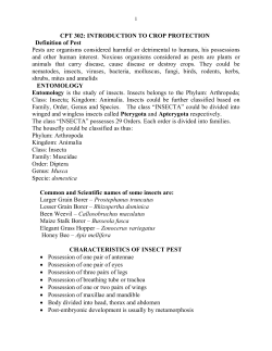 CPT 302: INTRODUCTION TO CROP PROTECTION Definition of