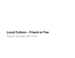 Local Culture &ndash; Friend or Foe