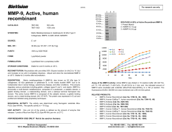 7867-500, -1000, Active recombinant MMP-9