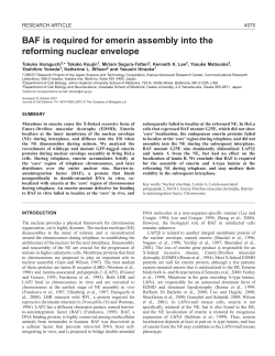Emerin-BAF interaction in mitosis - Journal of Cell Science