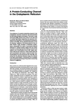 A Protein-Conducting Channel in the Endoplasmic Reticulum