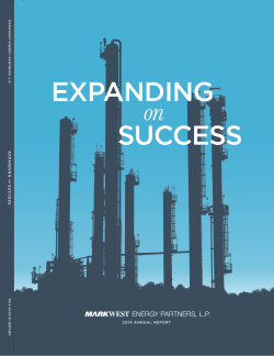 2014 Annual Report - Investor Relations Solutions