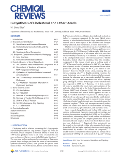 Biosynthesis of Cholesterol and Other Sterols