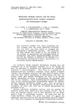 Monoclonal antibody reactive with the human epidermal