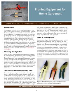 Pruning Equipment for Home Gardeners