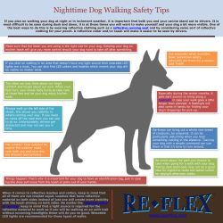 Nighttime Dog Walking Safety Tips