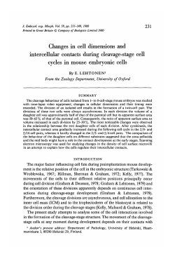 Changes in cell dimensions and intercellular