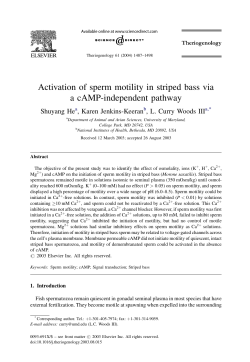 Activation of sperm motility in striped bass via a cAMP