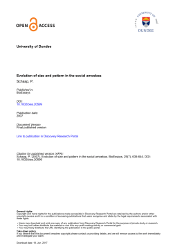 Publisher`s final version - Discovery