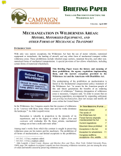 briefing paper - Wilderness.net