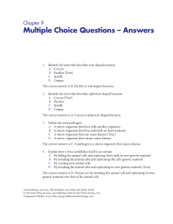 Multiple Choice Questions – Answers