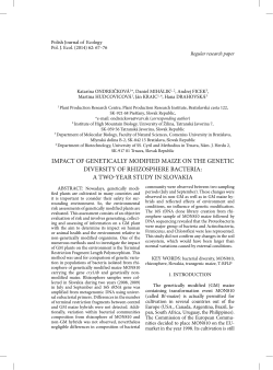 impact of genetically modified maize on the genetic