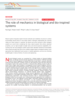 The role of mechanics in biological and bio
