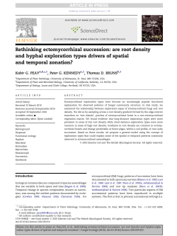 Rethinking ectomycorrhizal succession: are root