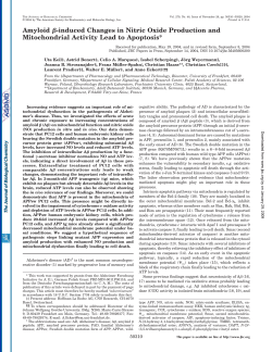 Amyloid -induced Changes in Nitric Oxide Production and