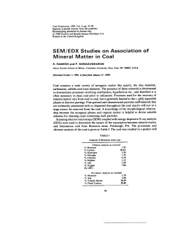 SEMjEDX Studies on Association of Mineral Matter in Coal