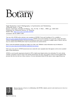 AMERICAN JOURNAL OF High-Resolution Leaf X